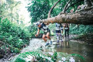 BIB: 
                            <button type="button" onclick="openModal(25445240)" class="btn btn-primary btn-sm float-right btn-popup" data-toggle="modal" data-target=".modal-high-quality">
                        <i class="fas fa-shopping-cart"></i> Add to Cart
                    </button>
                                            <button type="button" onclick="isThisMe(25445240, true)" class="btn btn-success btn-sm float-right btn-popup btn-isme hidden" data-toggle="tooltip" data-placement="bottom" title="นี่คือรูปของคุณใช่ไหม คลิกที่นี่เพื่อเอาเข้าอัลบั้ม">
                        <i class="fas fa-plus"></i> Add to album
                    </button>
                    <button type="button" onclick="isThisMe(25445240, false)" class="btn btn-warning btn-sm float-right btn-popup btn-isnotme hidden">
                        <i class="fas fa-ban"></i> Remove from album
                    </button>